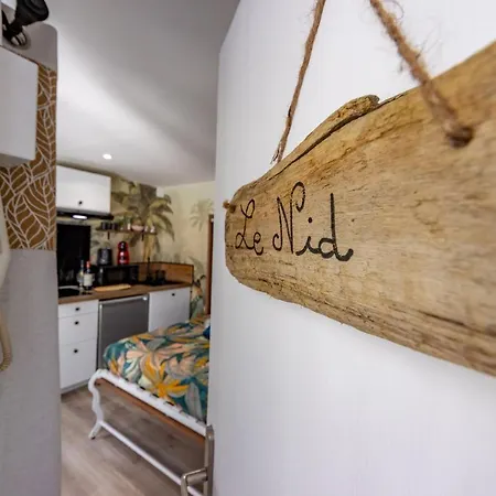 Chez Ingres - Le Nid - Joyau Cache En Centre Apartmán