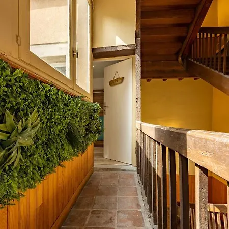 Chez Ingres - Le Nid - Joyau Cache En Centre